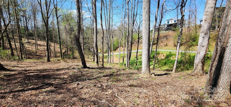 31 Sweet Fern Pw #42, Asheville, NC 28804