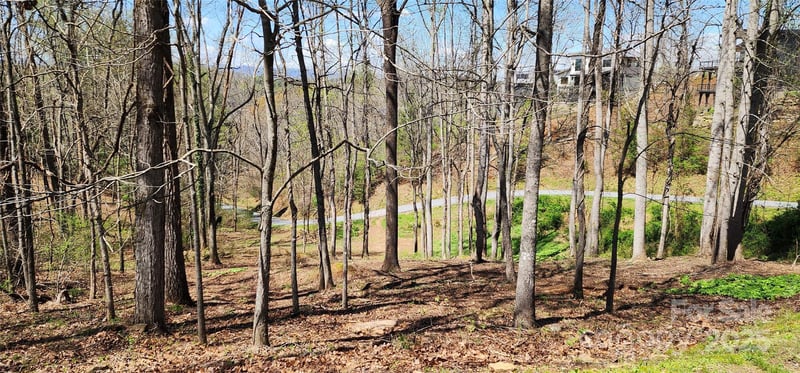 31 Sweet Fern Pw #42, Asheville, NC 28804