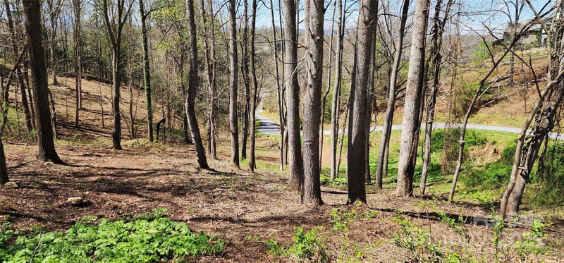 31 Sweet Fern Pw #42, Asheville, NC 28804