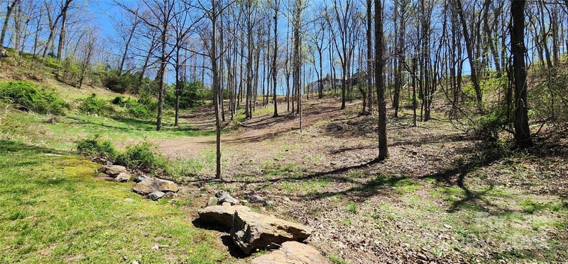 31 Sweet Fern Pw #42, Asheville, NC 28804