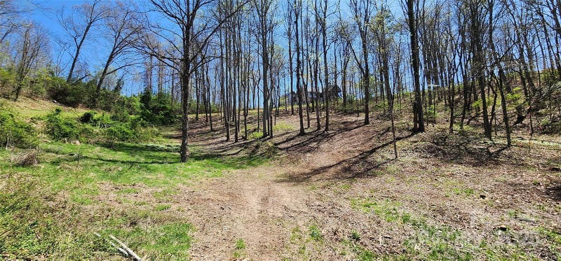 31 Sweet Fern Pw #42, Asheville, NC 28804