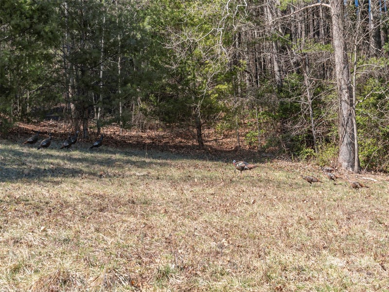 00 Big Cove Rd, Waynesville, NC 28786