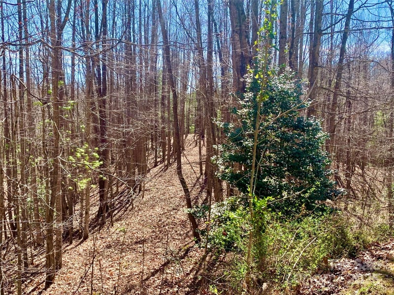 Round Rock Rd #84, Lenoir, NC 28645