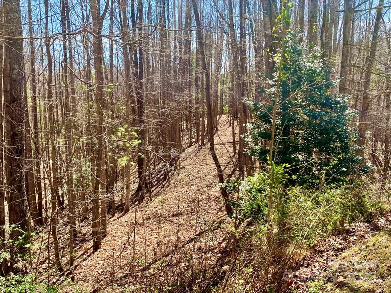 Round Rock Rd #84, Lenoir, NC 28645