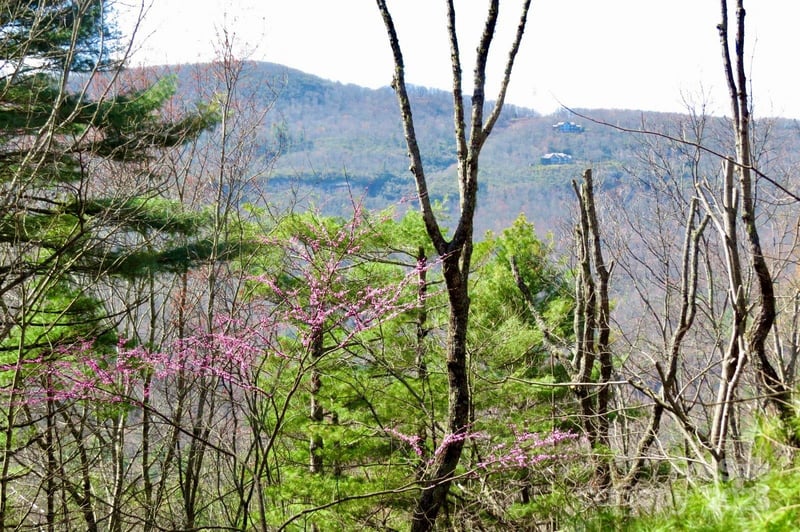 422 Lakeside Dr #L015, L016, Lake Toxaway, NC 28747
