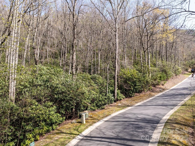 50 Settings Blvd, Black Mountain, NC 28711