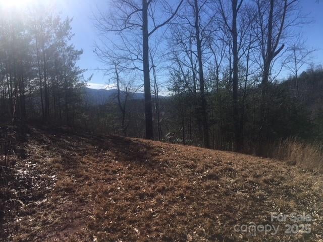 30 Mountain Pw, Mill Spring, NC 28756