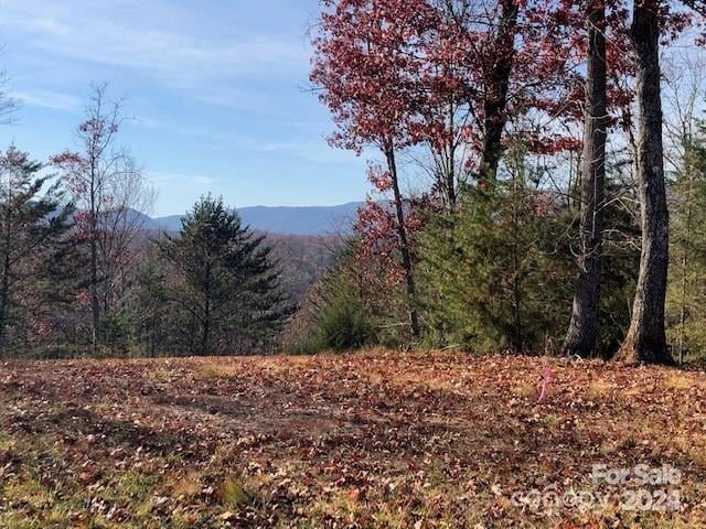 30 Mountain Pw, Mill Spring, NC 28756