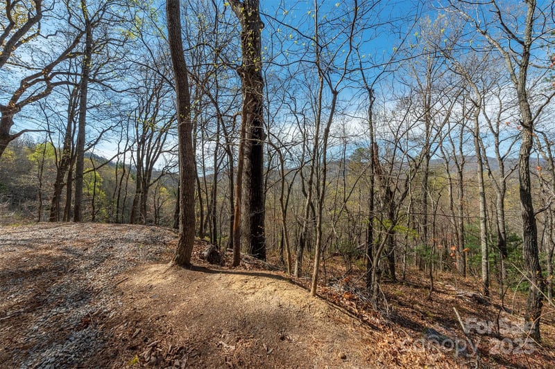 99999 Sunset Dr, Black Mountain, NC 28711