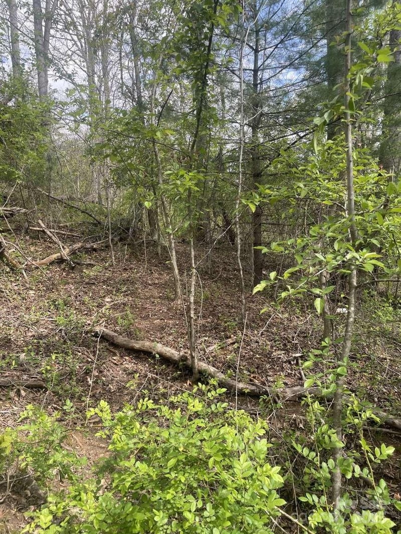 151 Richmond Ridge Rd, Asheville, NC 28806