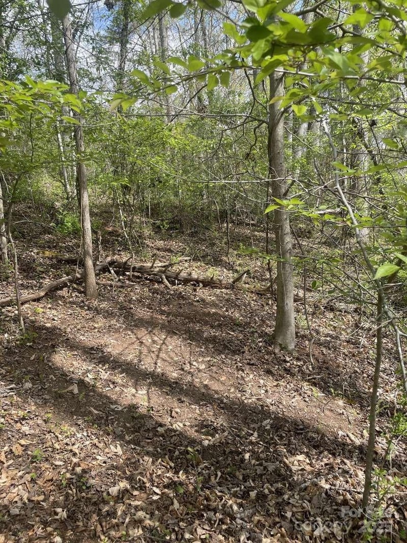 151 Richmond Ridge Rd, Asheville, NC 28806