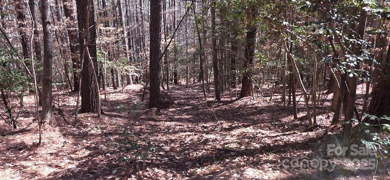 208 Ridge Top Dr, Connelly Springs, NC 28612