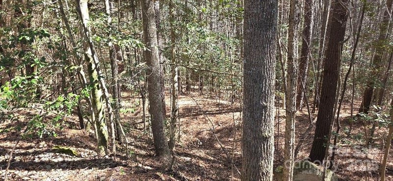 208 Ridge Top Dr, Connelly Springs, NC 28612