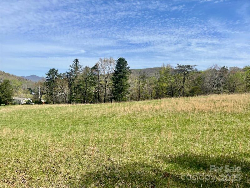 99999 Lollis Rd, Candler, NC 28715