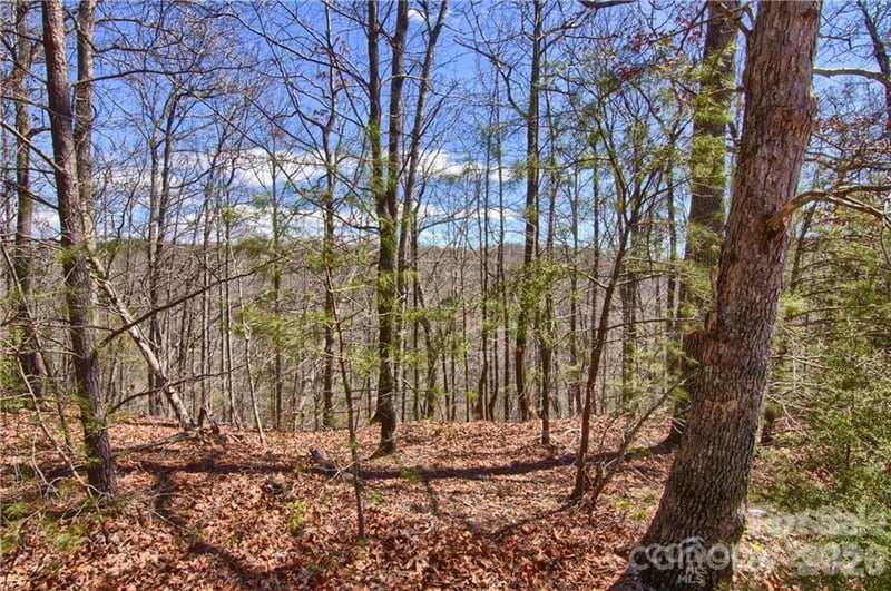 00 Boundary Rd #51/52, Mill Spring, NC 28756