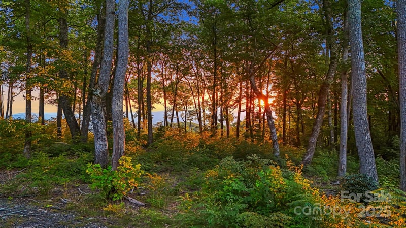 Mountain Grove Ln Lot 68, Fletcher, NC 28732