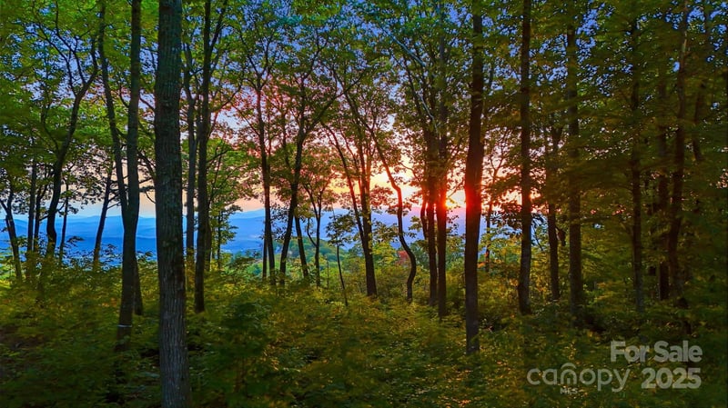 Mountain Grove Ln Lot 68, Fletcher, NC 28732