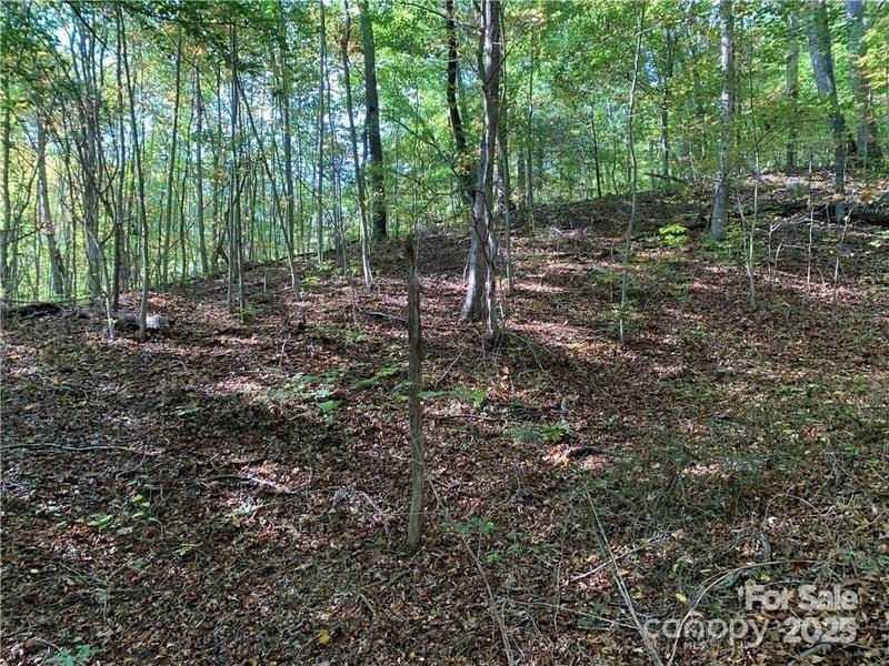 107 Rice Rd #9, Asheville, NC 28806