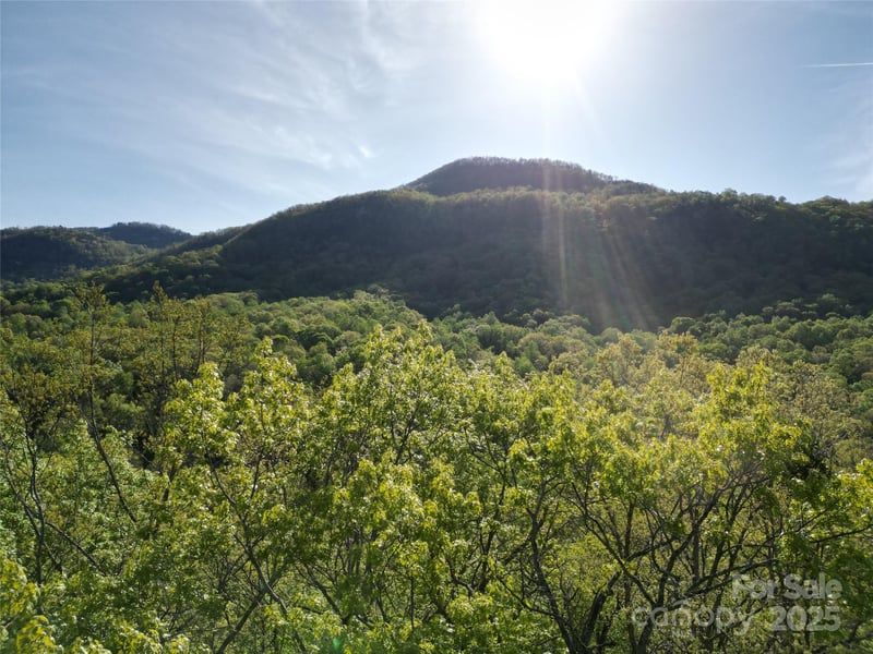 Lot 164 Spanarkel Ln, Lake Lure, NC 28746