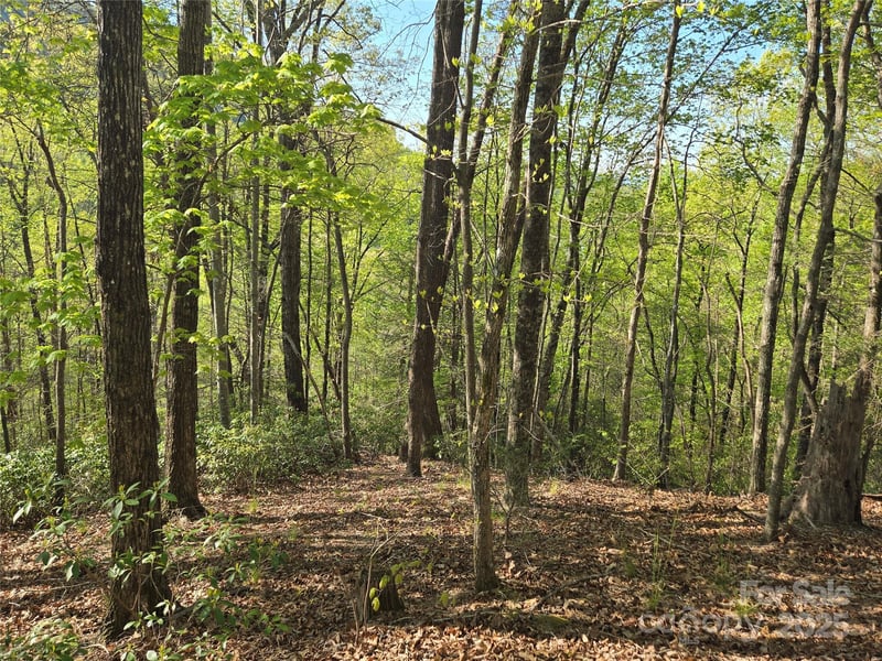 Lot 164 Spanarkel Ln, Lake Lure, NC 28746