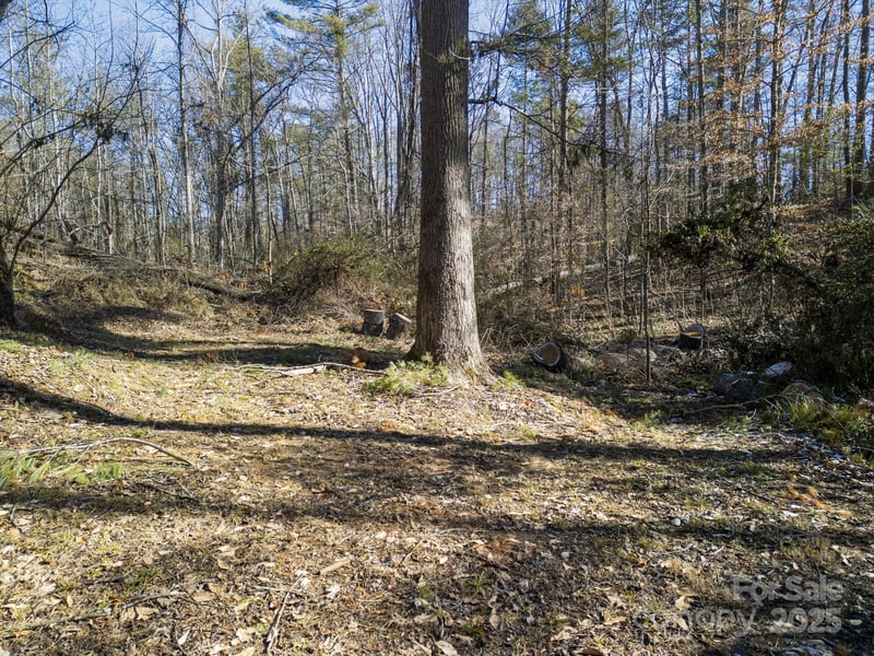 99999 Monticello Rd, Weaverville, NC 28787