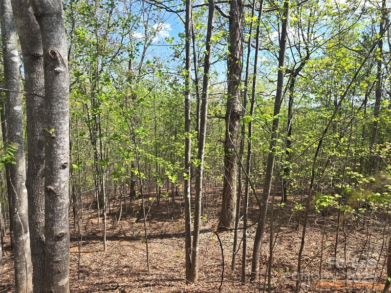 Lot 13 Back Hollow Dr, Lake Lure, NC 28746