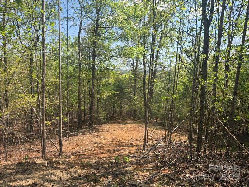 Lot 13 Back Hollow Dr, Lake Lure, NC 28746