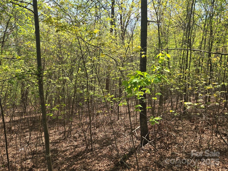 Lot 14 Back Hollow Dr, Lake Lure, NC 28746
