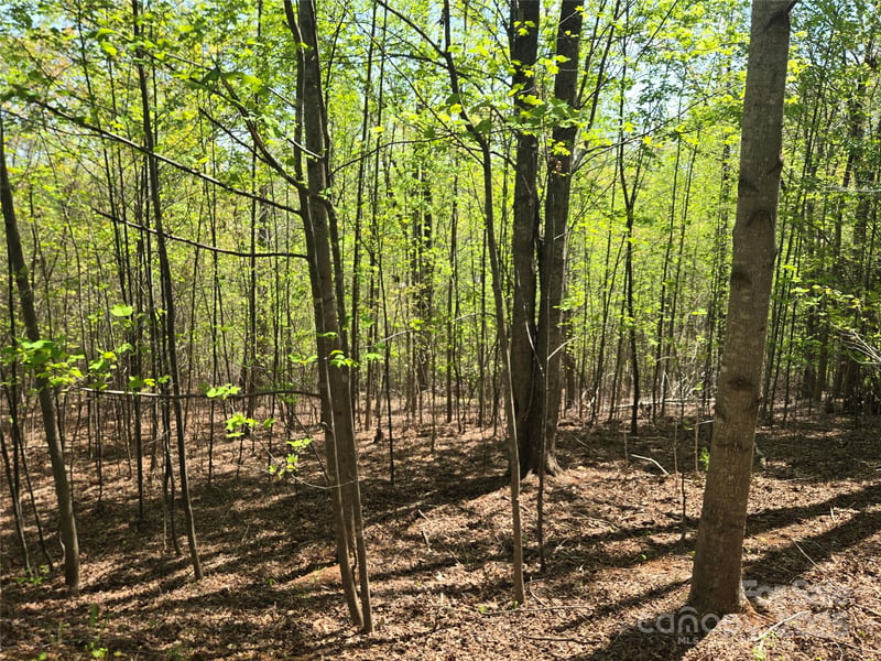 Lot 14 Back Hollow Dr, Lake Lure, NC 28746