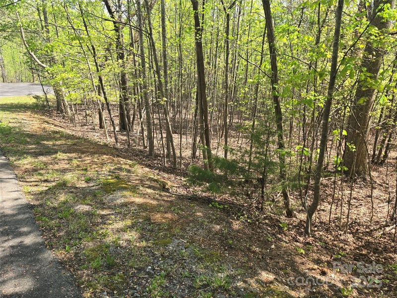 Lot 14 Back Hollow Dr, Lake Lure, NC 28746