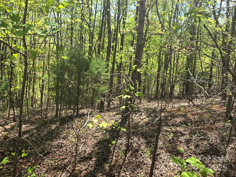 Lot 15 Touch Me Not Trl, Lake Lure, NC 28746