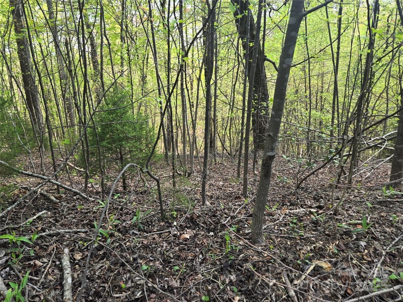 Lot 15 Touch Me Not Trl, Lake Lure, NC 28746