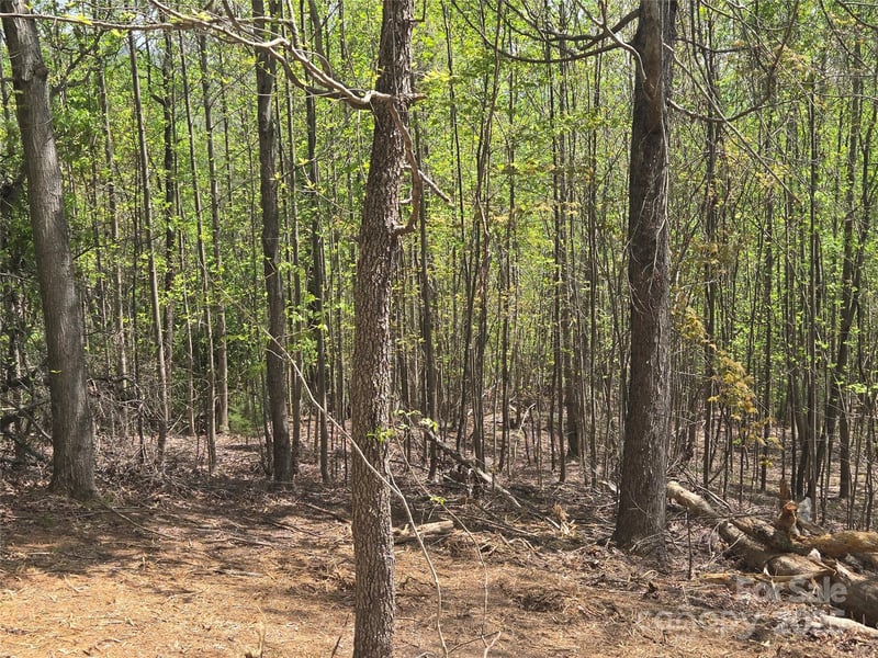 Lot 16 High Rock Rg, Lake Lure, NC 28746