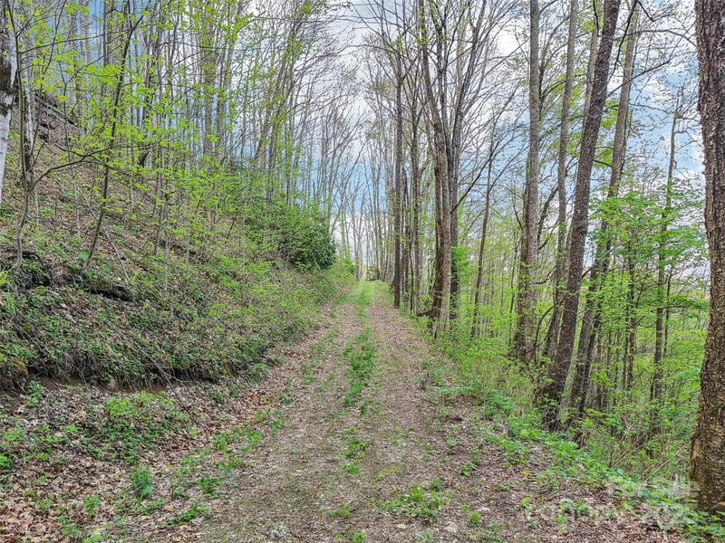 0 Star Crest Dr, Waynesville, NC 28785