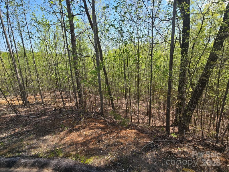 Lot 17 Touch Me Not Trl, Lake Lure, NC 28746