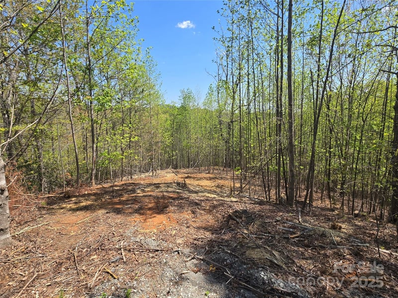 Lot 17 Touch Me Not Trl, Lake Lure, NC 28746