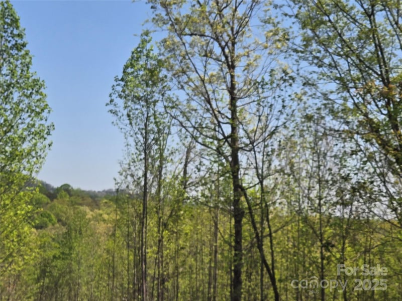Lot 20 Touch Me Not Trl, Lake Lure, NC 28746
