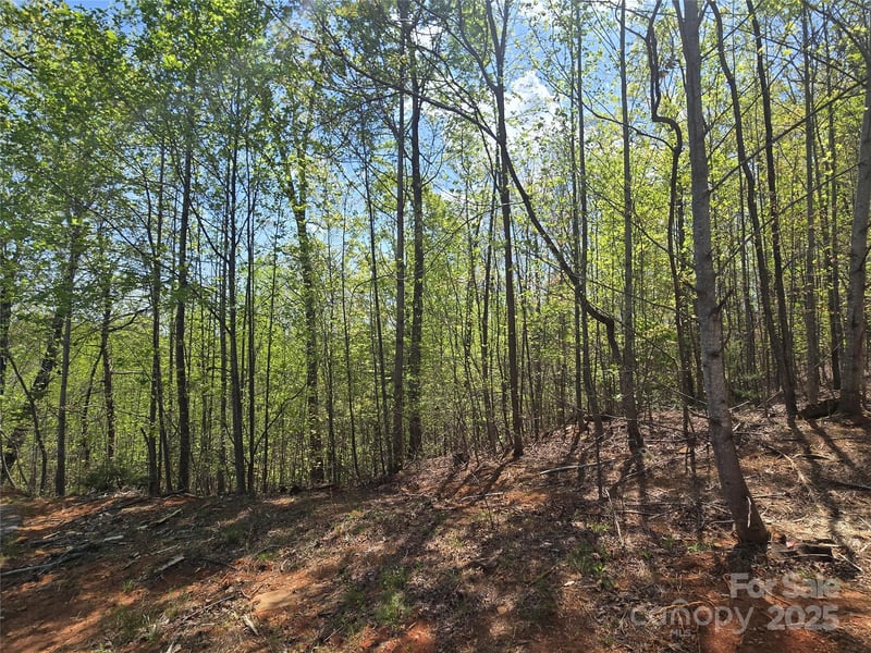 Lot 20 Touch Me Not Trl, Lake Lure, NC 28746