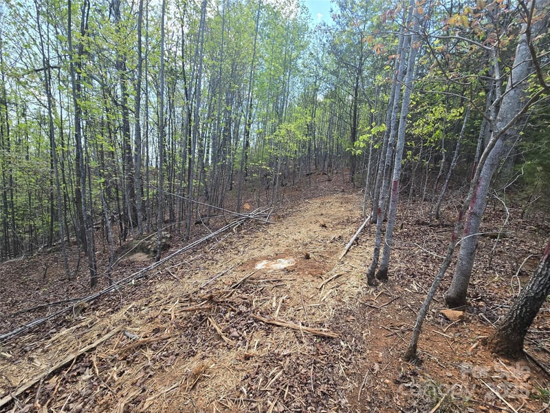 Lot 20 Touch Me Not Trl, Lake Lure, NC 28746
