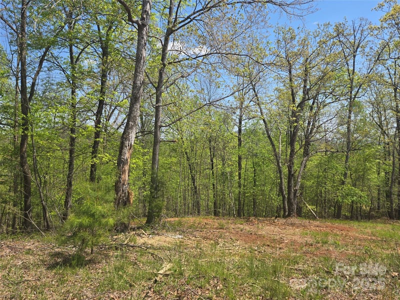 Lot 23 High Rock Rg, Lake Lure, NC 28746