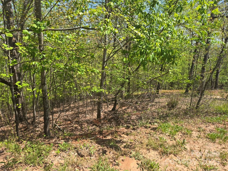 Lot 23 High Rock Rg, Lake Lure, NC 28746