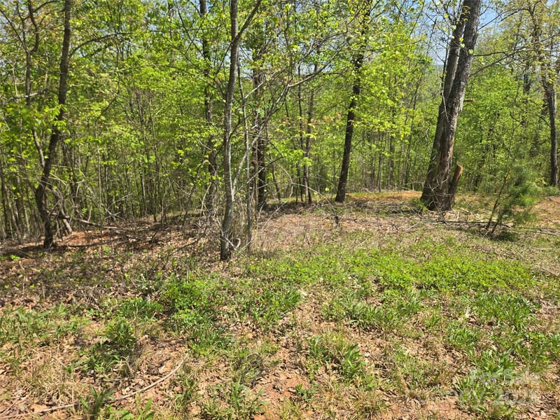 Lot 23 High Rock Rg, Lake Lure, NC 28746