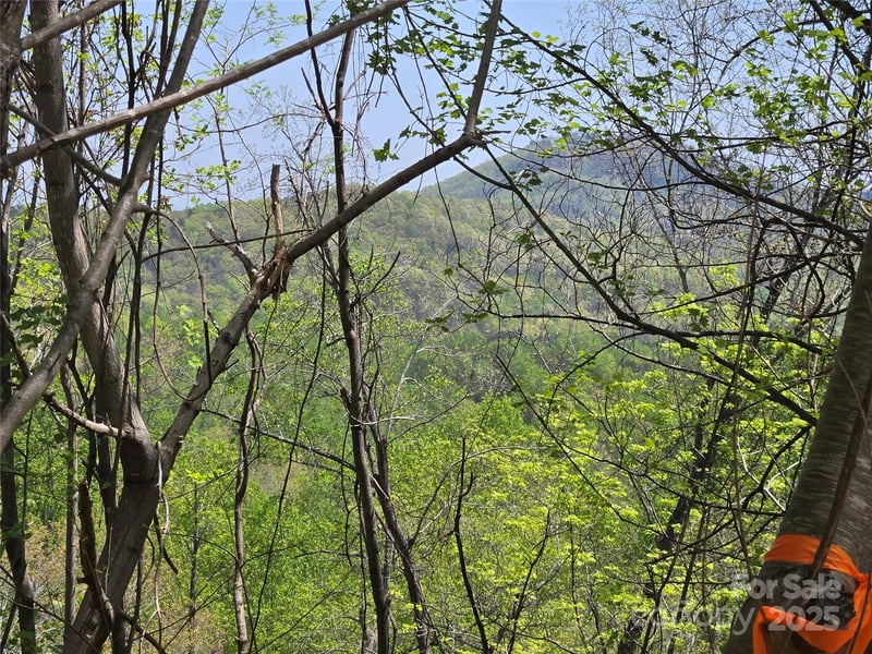 Lot 24 High Rock Rg, Lake Lure, NC 28746
