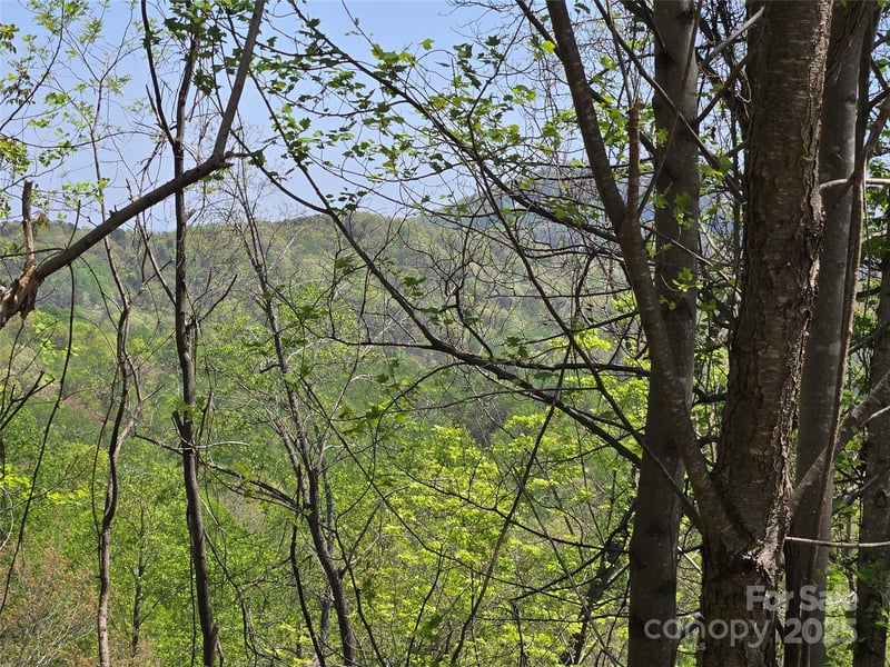 Lot 24 High Rock Rg, Lake Lure, NC 28746