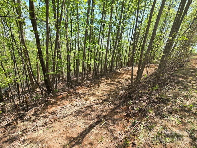 Lot 24 High Rock Rg, Lake Lure, NC 28746