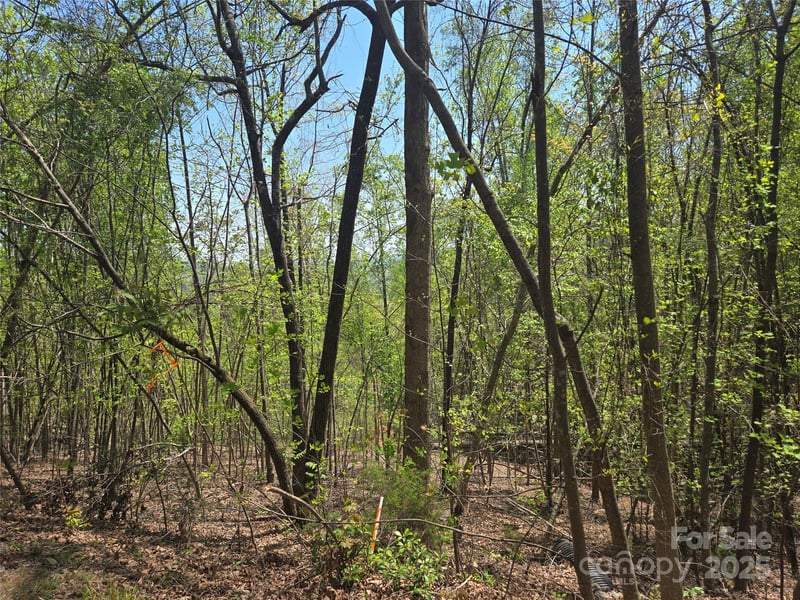 Lot 25 High Rock Rg, Lake Lure, NC 28746