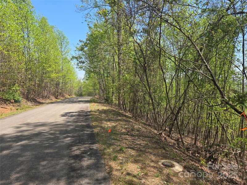 Lot 25 High Rock Rg, Lake Lure, NC 28746