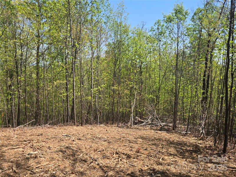 Lot 32 High Rock Rg, Lake Lure, NC 28746