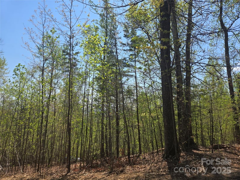 Lot 32 High Rock Rg, Lake Lure, NC 28746
