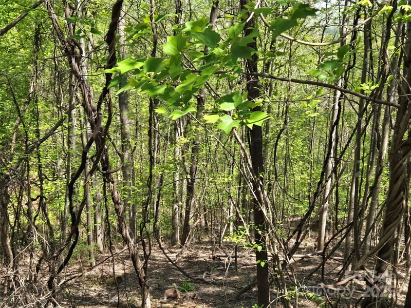 Lot 33 Turkey Fall Ln, Lake Lure, NC 28746